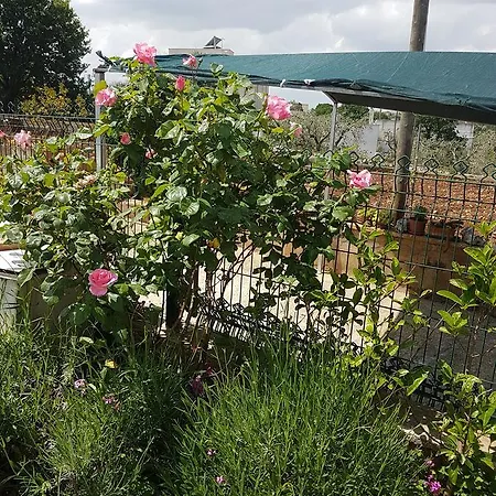 Hébergement de vacances Casa In Campagna *