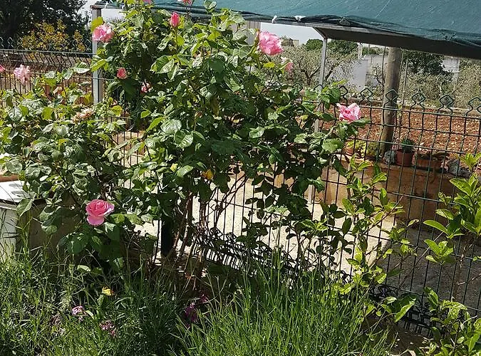 Casa de Férias Casa In Campagna *